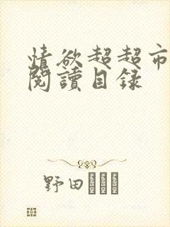 情欲超超市二全阅读目录