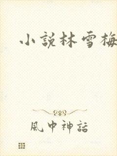 小说林雪梅