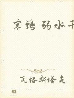 寒鸦 弱水千流