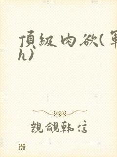 顶级肉欲(军高h)