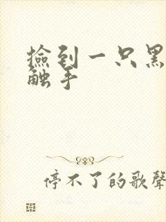 捡到一只黑心小触手