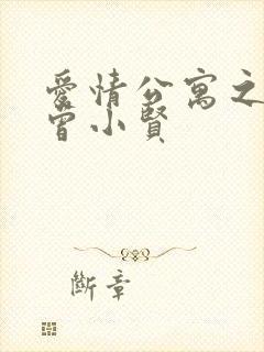 爱情公寓之极品曾小贤