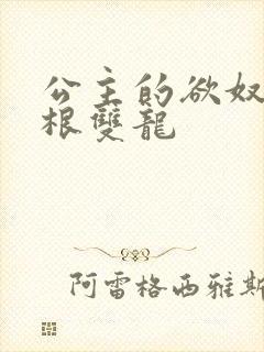 公主的欲奴h四根双龙