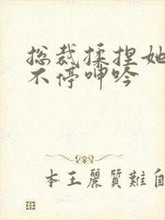 总裁揉捏她两乳不停呻吟