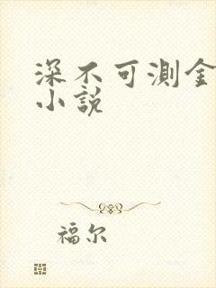 深不可测金银花小说