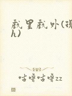 戏里戏外(现场h)