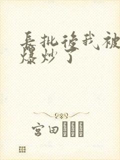 长批后我被宿敌爆炒了