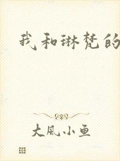 我和琳梵的故事