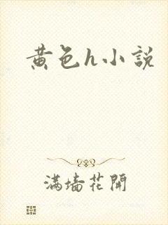 黄色h小说