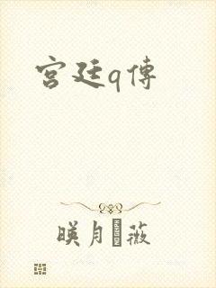 宫廷q传