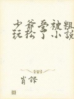 少爷受被粗汉H玩松了小说