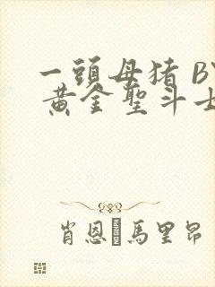 一头母猪 BY 黄金圣斗士