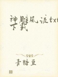 神雕风流txt下载