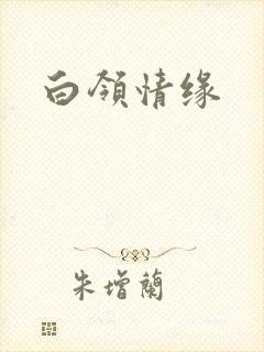 白领情缘