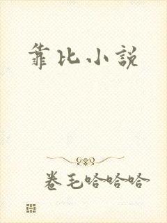 靠比小说