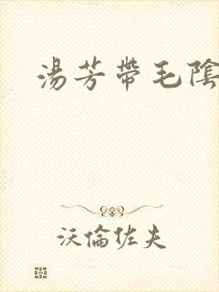 汤芳带毛阴部