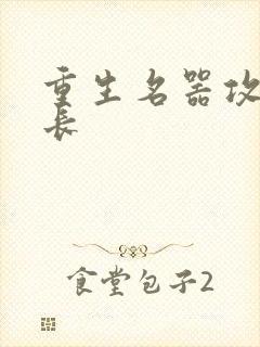 重生名器攻略兄长