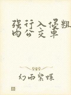 强行入侵粗暴h肉公交车