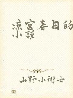 凉宫春日的忧郁小说