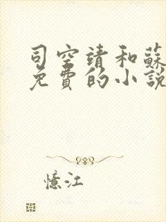 司空靖和苏月汐免费的小说笔趣阁