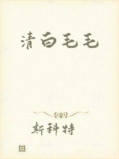 清白毛毛