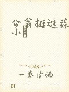 公翁挺进苏玥的小泬