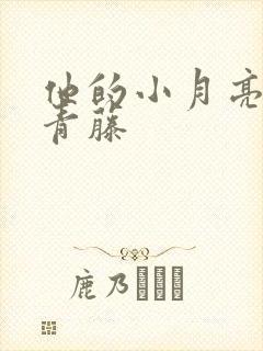 他的小月亮by青藤