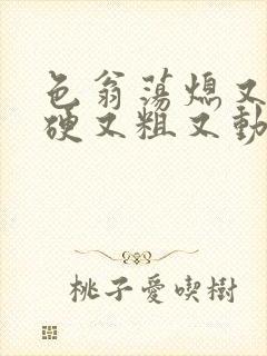 色翁荡熄又大又硬又粗又动态图