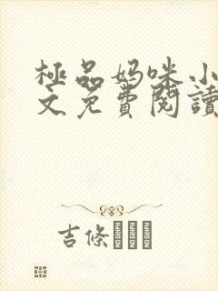 极品妈咪小说全文免费阅读