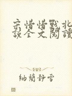 宋惜惜战北望小说全文阅读
