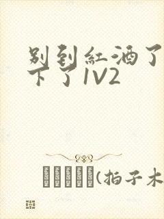 别到红酒了装不下了1V2