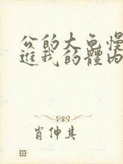 公的大龟慢慢挺进我的体内视频