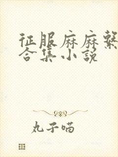 征服麻麻系列大合集小说