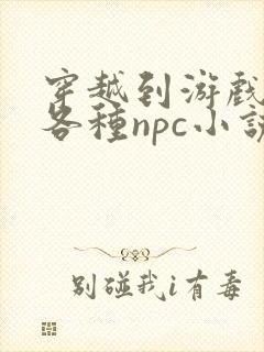 穿越到游戏里和各种npc小说