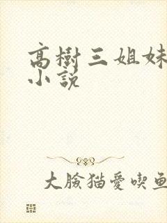 高树三姐妹有声小说