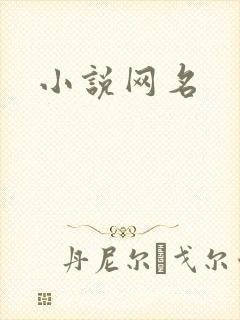 小说网名