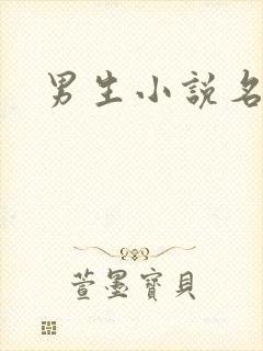 男生小说名字