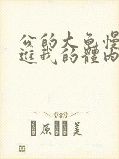 公的大龟慢慢挺进我的体内