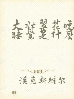 大壮翠花晚上不睡觉是什么电视剧