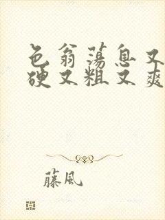 色翁荡息又大又硬又粗又爽电影