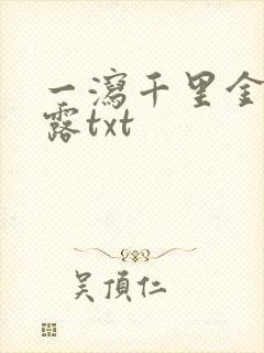 一泻千里金银花露txt