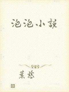 泡泡小说