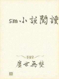 sm小说阅读
