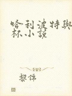 哈利波特与火焰杯小说