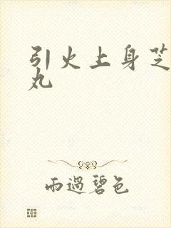 引火上身芝麻糖丸