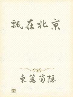 飘在北京