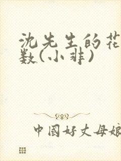 沈先生的花式调数(小非)