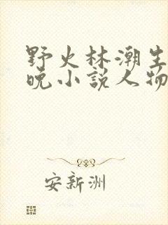野火林潮生林晚晚小说人物野火