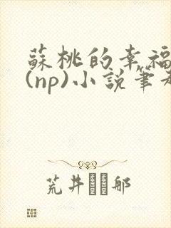 苏桃的幸福生活(np)小说笔趣阁