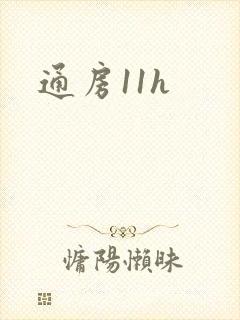 通房11h